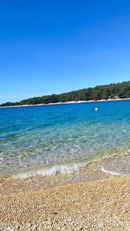 Apartmán Apartmani Sajrih Ždrelac